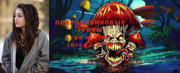 a pvp Бронницы