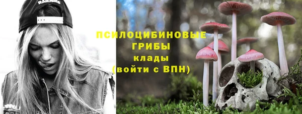 прущие крисы Балахна